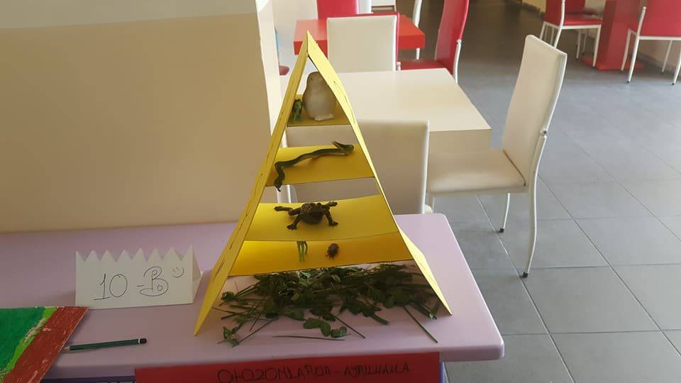 Gümüşhane Hayme Ana Mes. ve Tek. An. Lisesi