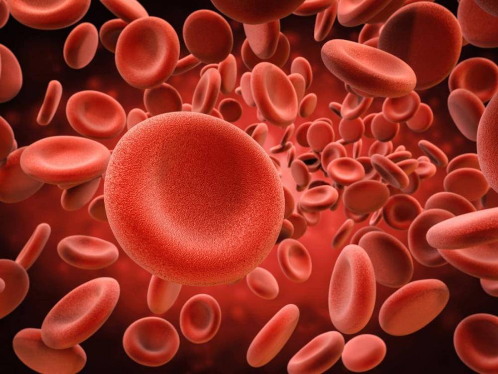 red-blood-cells.jpg